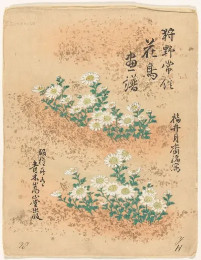 Bloemen- en vogelschetsen van Kano Tsunenobu