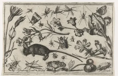 Bloemen, insecten, een kikker en een dode muis