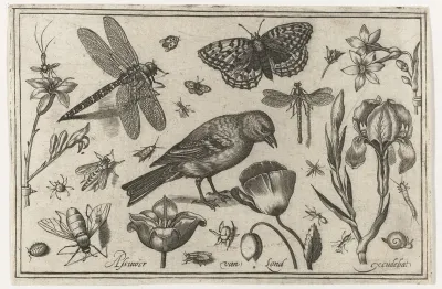 Bloemen, libelle en vogel