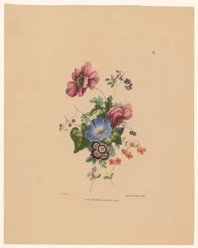 Bloemen met blauwe winde