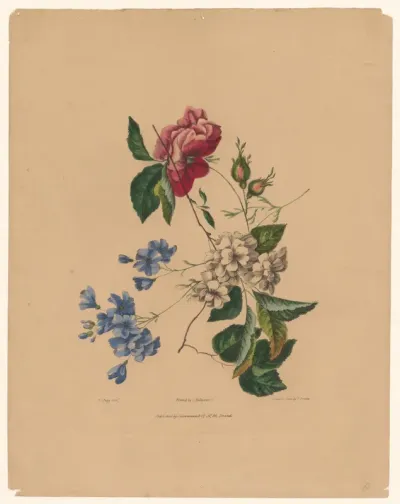 Bloemen met rozen en bloesem