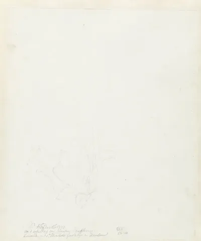 Bloemstudie