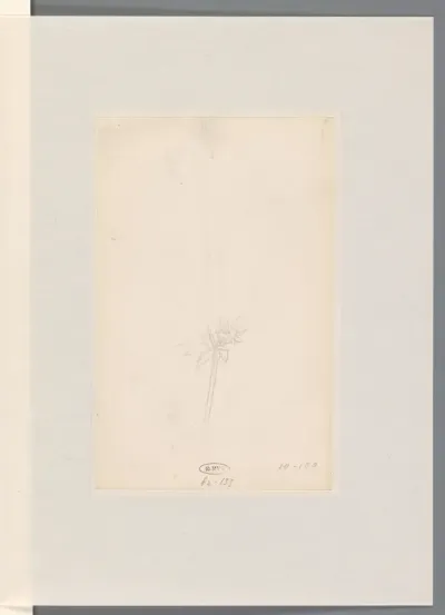 Bloemstudie