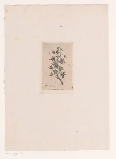Bloemstudie