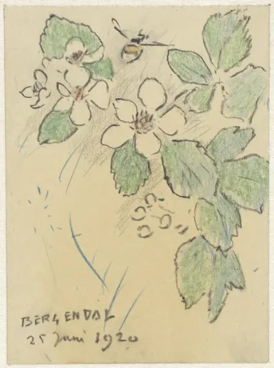 Bloesems