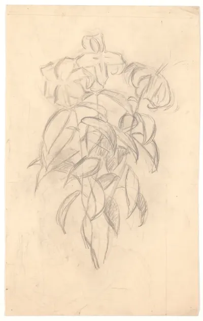 Blomsterstudie
