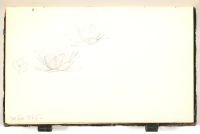 Blomsterstudier