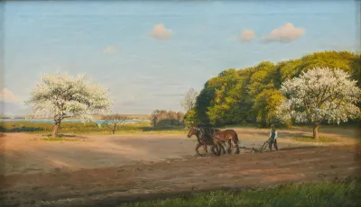 Blooming fruit trees at a field.