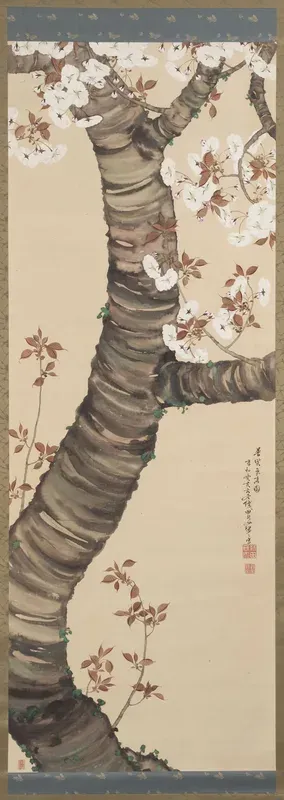 Blossoming Cherry