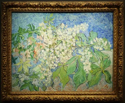 Blossoming Chestnut Branches