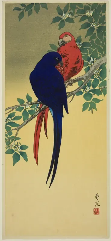Blue and Red Macaws
