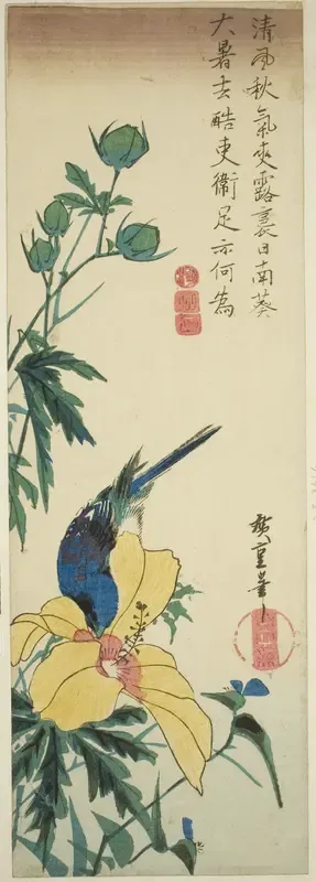 Blue bird and hibiscus