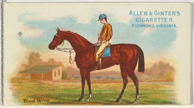 Blue Wing, from The World's Racers series (N32) for Allen & Ginter Cigarettes