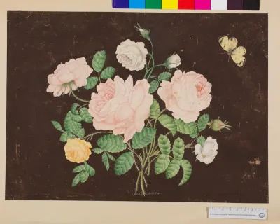 Blumenstillleben mit verschiedenen Rosen und Schmetterling