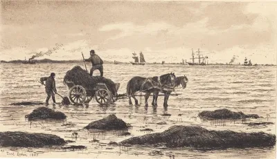 Bønder kører tang