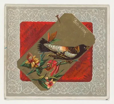 Bob-o-link, from the Birds of America series (N37) for Allen & Ginter Cigarettes