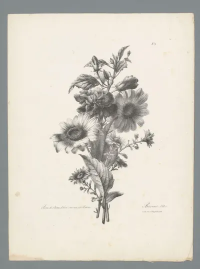 Boeket met Chinese roos, zonnebloem en aster