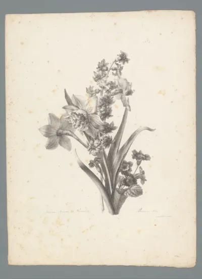 Boeket met narcis, hyacint en primula