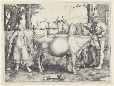 Boer en boerin bij de koeien