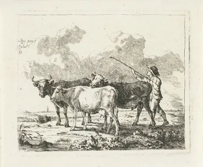 Boer met drie koeien