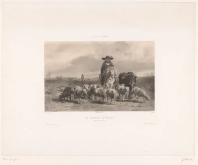 Boer met rund en schapen uit de Auvergne