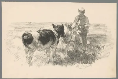 Boer met twee koeien in een weide