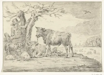 Boer staande bij een hek met vee