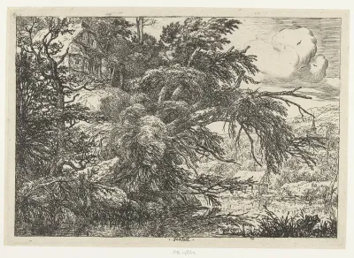 Boerderij op een heuvel