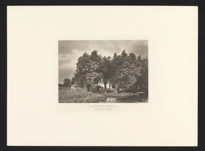 Boerenlandschap met bomen