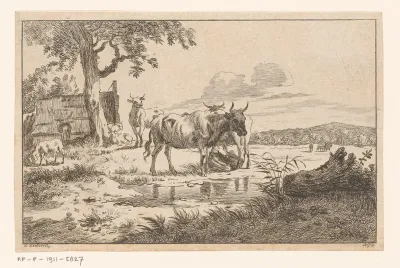 Boerin met koeien aan het water