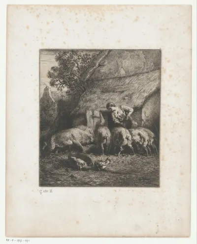 Boerin voedert varkens