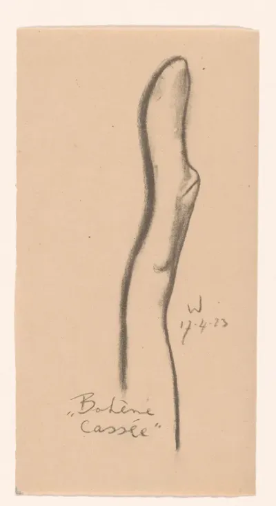 Bohème Cassée