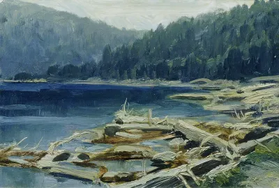 Böhmerwald (aus der Mappe „16 Ansichten tschechischer Landschaften 'Česka Krajiná'“)