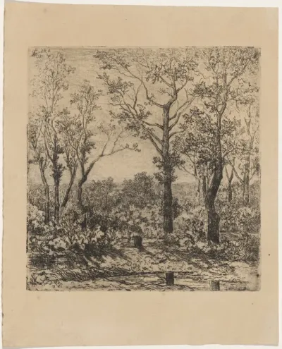 Bois de la charbonnière