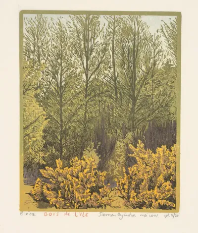 Bois de l'ile