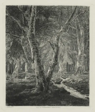 Bois de Pierrefonds
