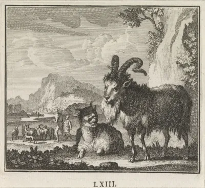 Bok en een geit bij steile rotswand