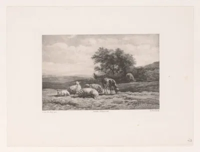 Bok en schapen in landschap