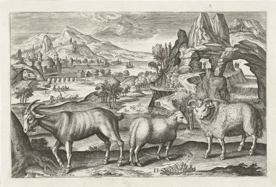 Bok en schapen