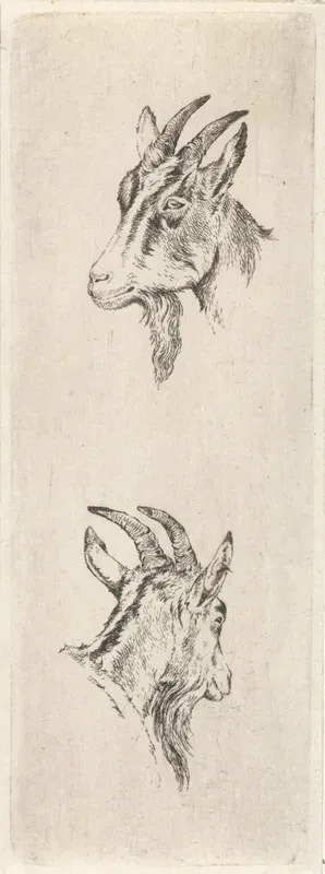 Bokkenkop