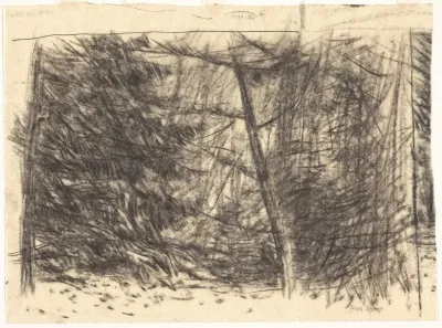 Bomen