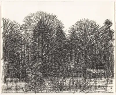 Bomen