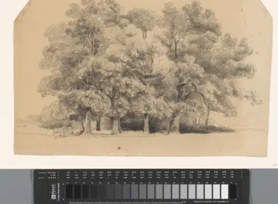 Bomen