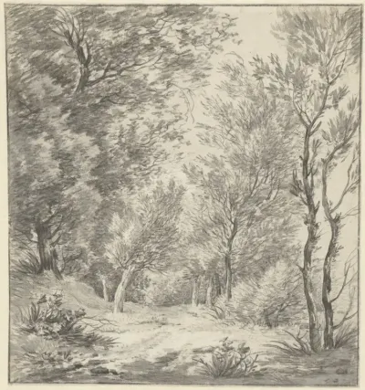 Bomen aan de Amstelveense Weg