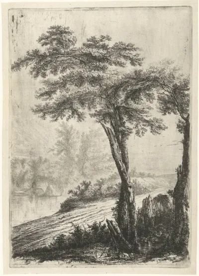 Bomen aan de kant van de weg