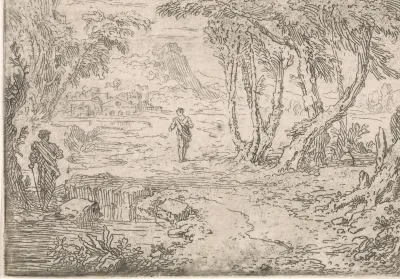 Bomen aan de oever van een meer