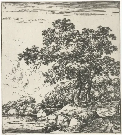 Bomen aan de rivier