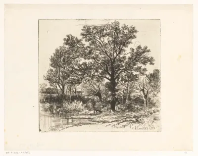 Bomen aan de waterkant