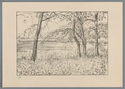 Bomen aan een meer