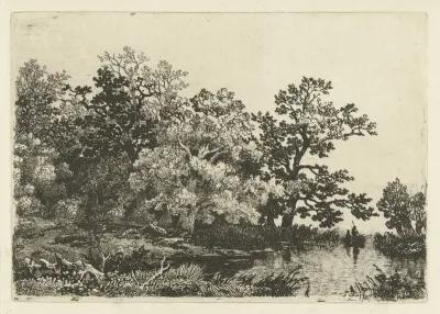 Bomen aan een meertje